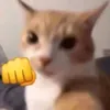 crisseth_