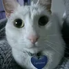 guiz_0.1