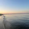 livialuvsu