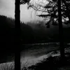 akira_gonz