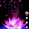 user216113298070