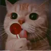 user8618170019985
