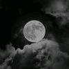 user4000872011469