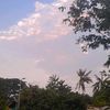 raisaa1.4
