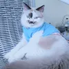 ziezou.maru