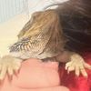 rrralphyy