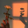 sunflowe_02r