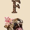 farioletafofo