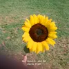 autumnleavesku