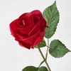 salmansabir5916