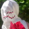 shoshe_2008