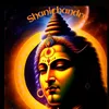 www.shanichandra.com
