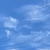 mocchi_13234
