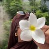 amal36y
