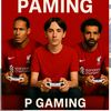 pungaming.21
