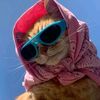 waris_ibrahim