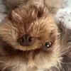 this_acc_is.banned1