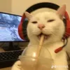 d_emzzz1