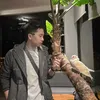 anhmoneylive