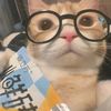altezetye7