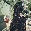 lulu_237i