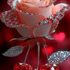 queenistar83