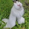 oscar_jbr