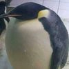 _10jossuelitohoy777
