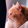 bessssoooo
