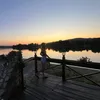 lazareviccc11