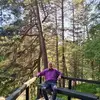 agrisjonavskis