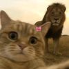 amal_15555
