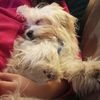 charlie_fp_999