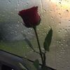 iam.__0