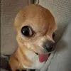 _huynnhiii