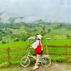 Rùa tập chạy 🍀