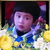 ducyb315
