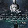 siguemeytesigo.188
