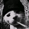 naheek_mv