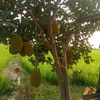 user7760616004783