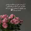 abthal05920