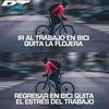 legado208