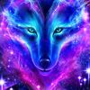 anthonyvarcha44