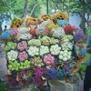 phamnguyenngocha05