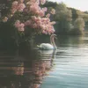 xcyj9_