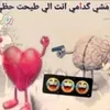userawtwit6g1u