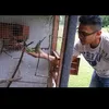 muhammadshar90