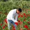shrzad124