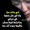 user4025591627778