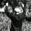 speakingurdu